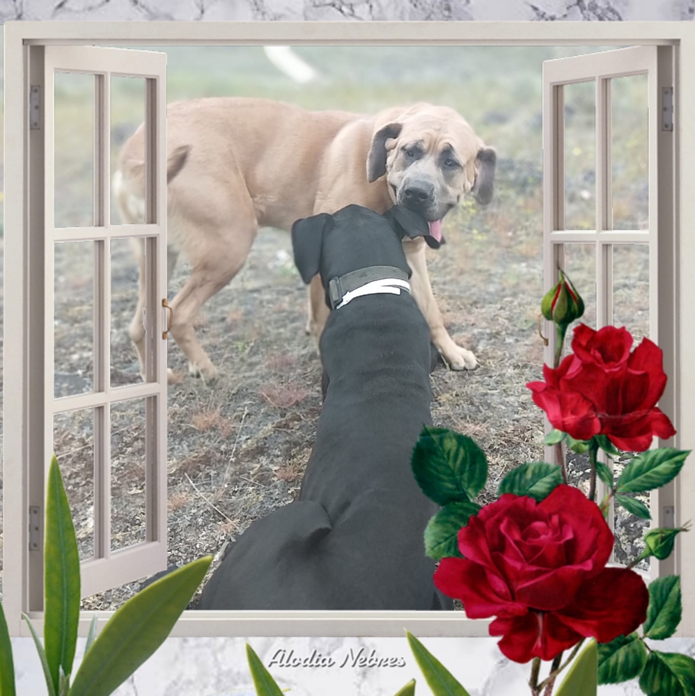 Meet your Posher, Stefanie